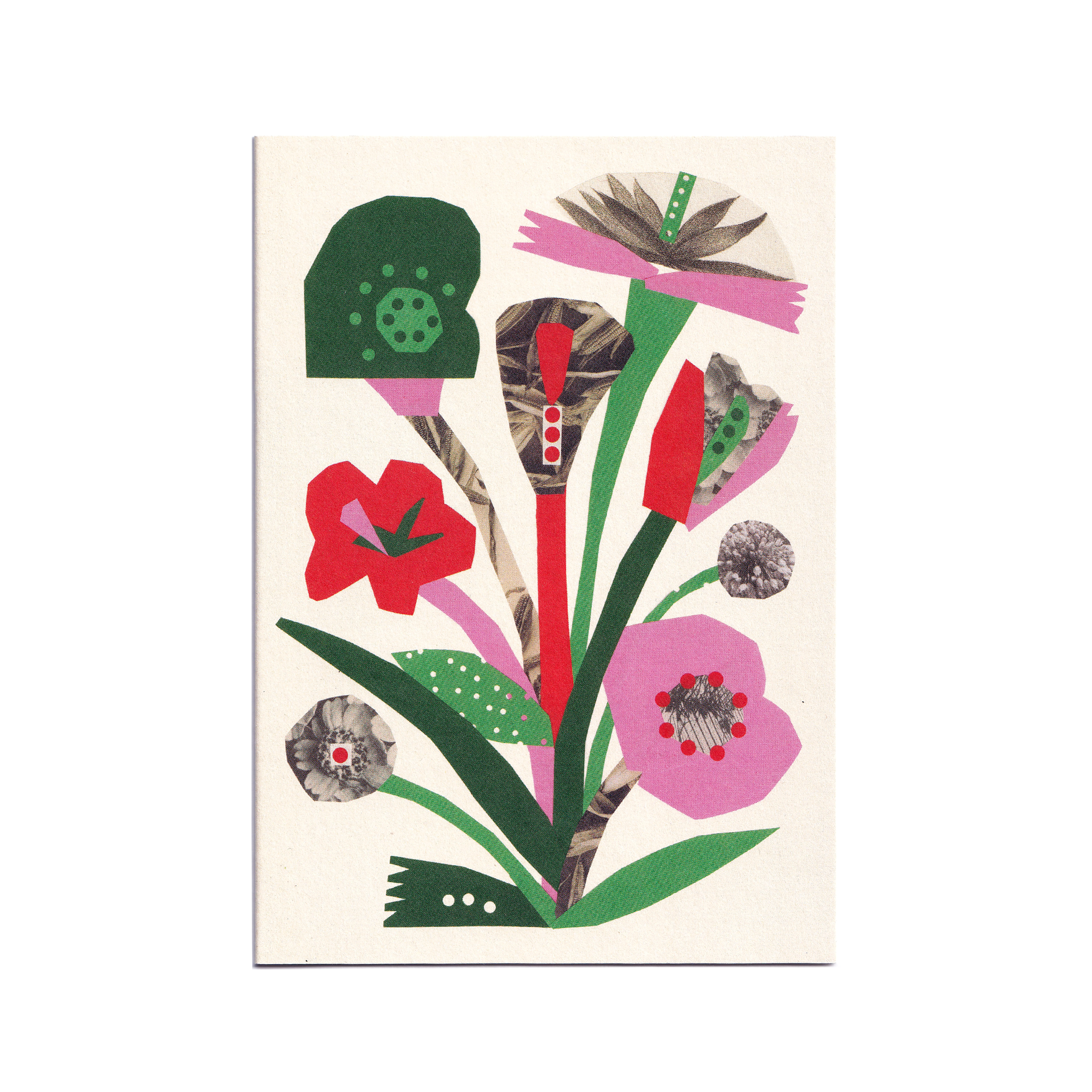 cait mceniff - flower collage card on white background - winter's moon