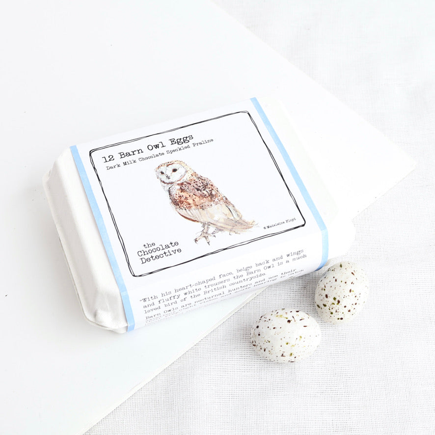 Delicious Chocolate Bird Eggs (Box of 12) - Winter's Moon 