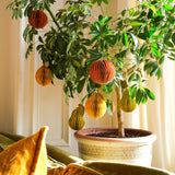 Orange Honeycomb Ornament
