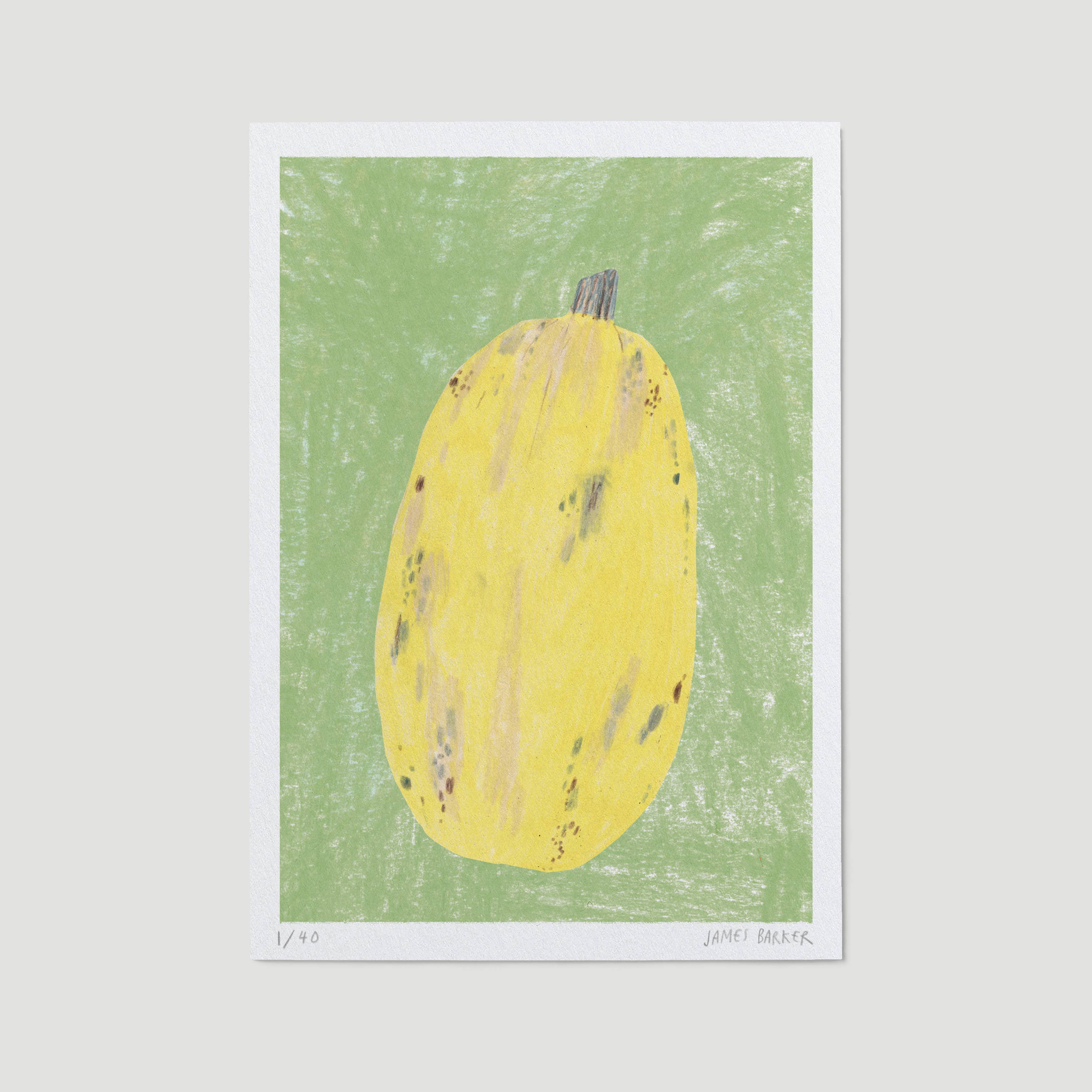 james barker - a5 print of an illustration of a yellow squasg on pale background - winter's moon