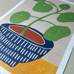 Illustration of a plant in a blue pot on a beige and orange background