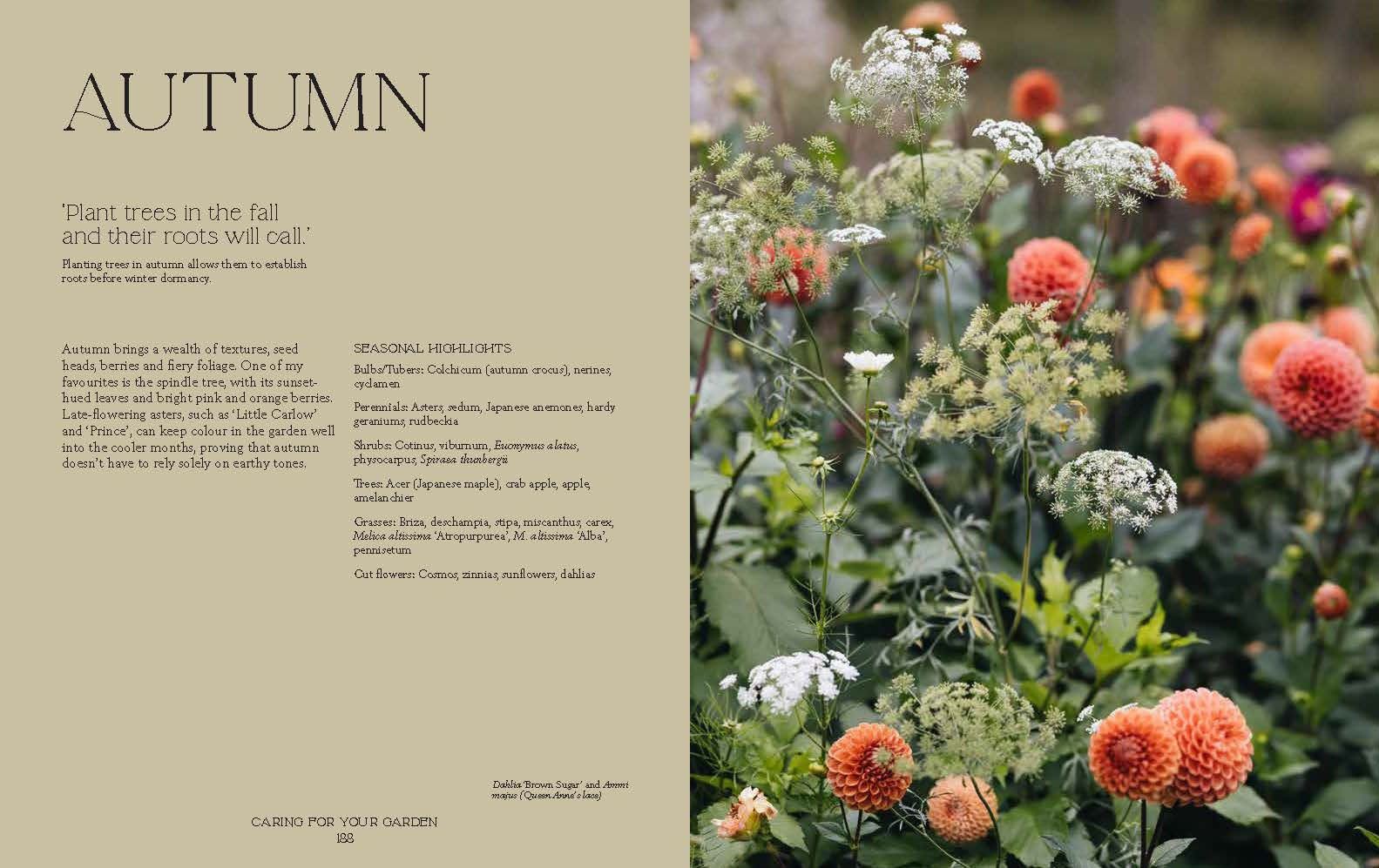 'How Does Your Garden Grow?' Book by Milli Proust - Winter's Moon 