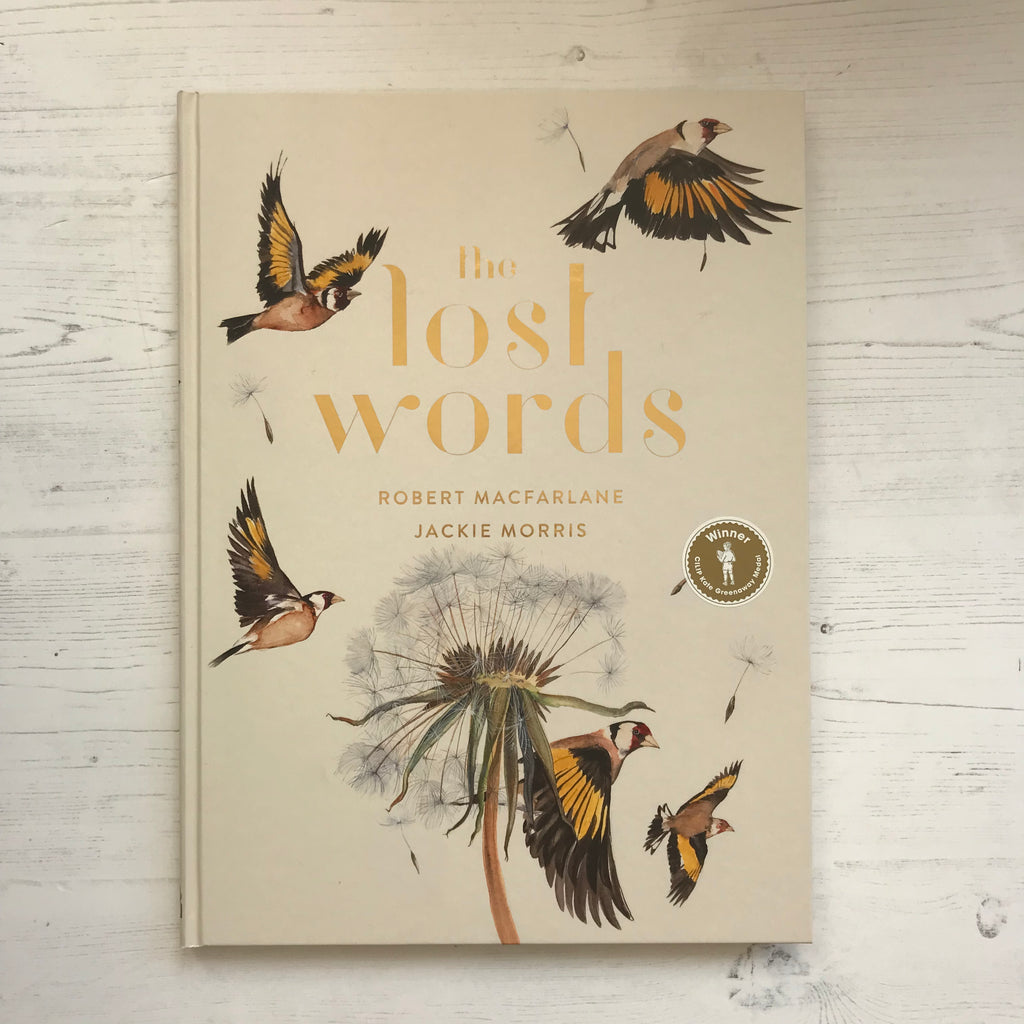 'The Lost Words' Kids Book