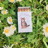 Matchbox labeled 'Cat Club' on grass with daisies