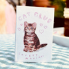 Matches with a cat illustration and 'Cat Club Safety Matches' text on a striped fabric background