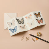 Butterfly Concertina Mini Card - Winter's Moon 