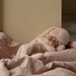 Plush toy with a flower on a pink checkered blanket against a beige wall.
