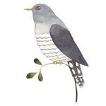 'Our Garden Birds: a Bird for Every Week of the Year' Book - Winter's Moon 