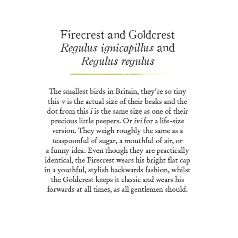 'Our Garden Birds: a Bird for Every Week of the Year' Book - Winter's Moon 
