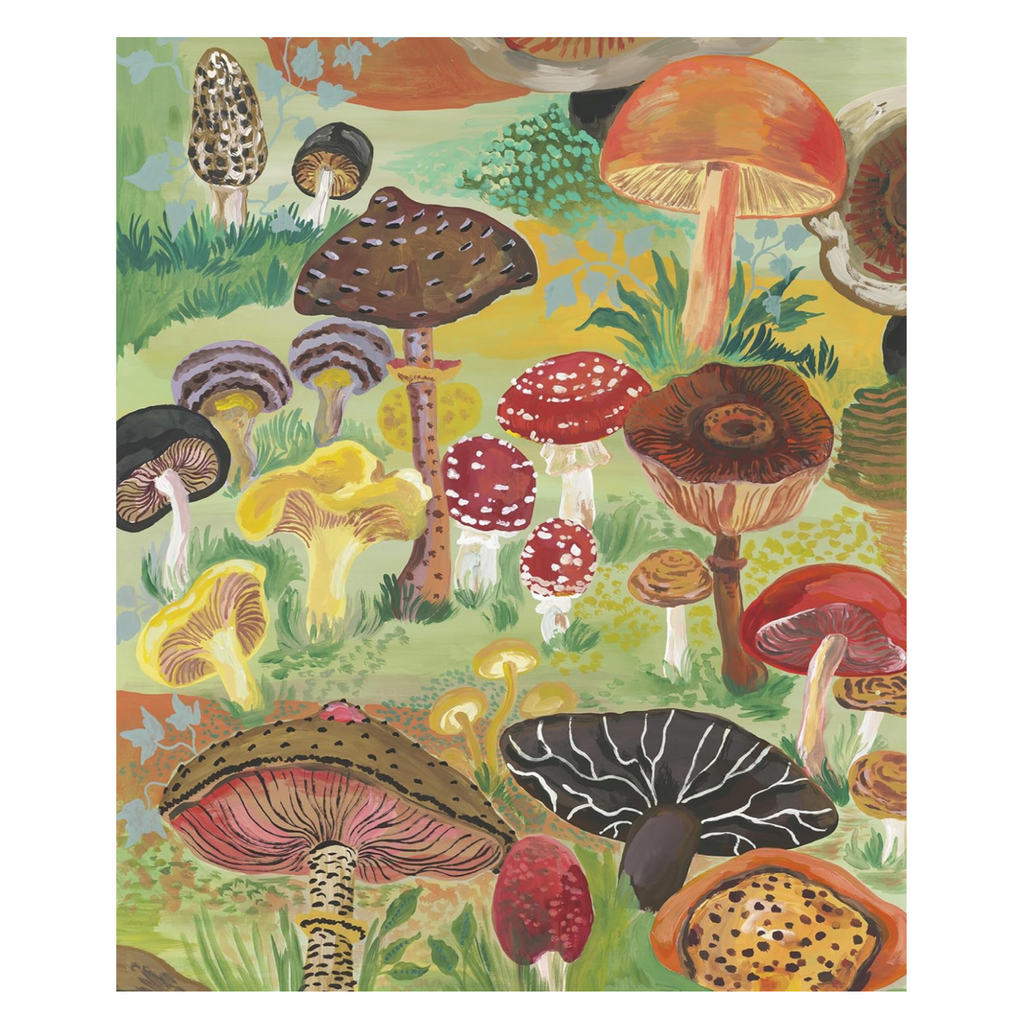 Colorful illustration of various mushrooms on a green background