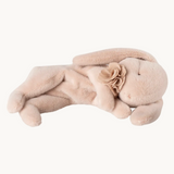 Maileg Sleeping Bunny Plush - Powder - Winter's Moon 