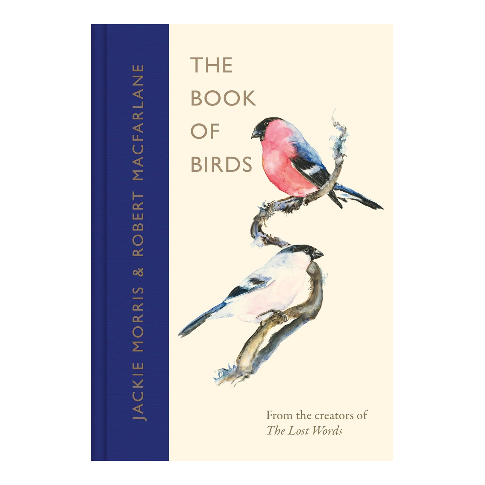 bookspeed - cover of the book of birds on white background - winter's moon