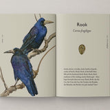 bookspeed - book of birds rook spread on white background - winter's moon