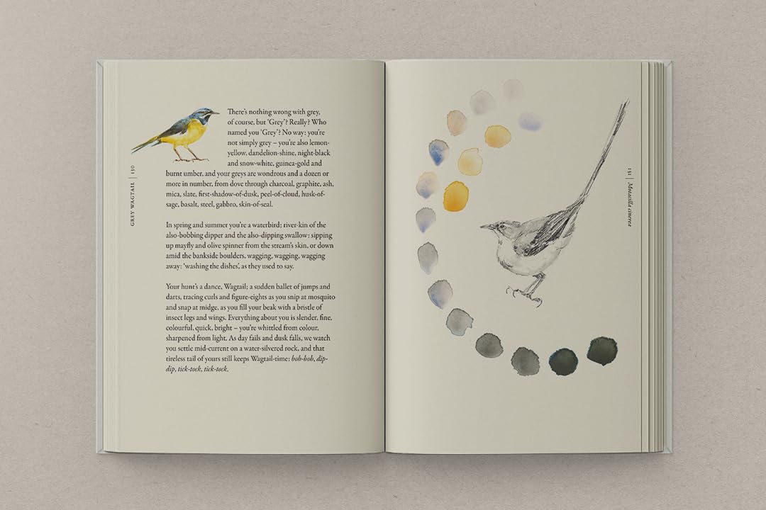 bookspeed - book of birds spread on white background - winter's moon