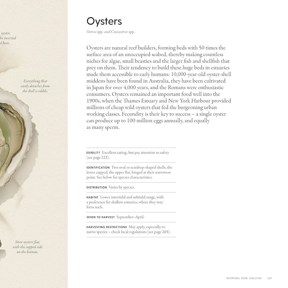 'The Coastal Forager' Book - Winter's Moon 