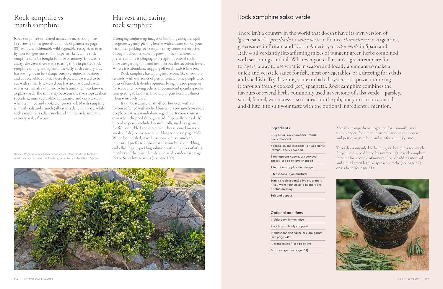 'The Coastal Forager' Book - Winter's Moon 
