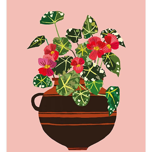 'Begonia' A3 Art Print - Winter's Moon 