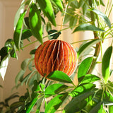 Orange Honeycomb Ornament