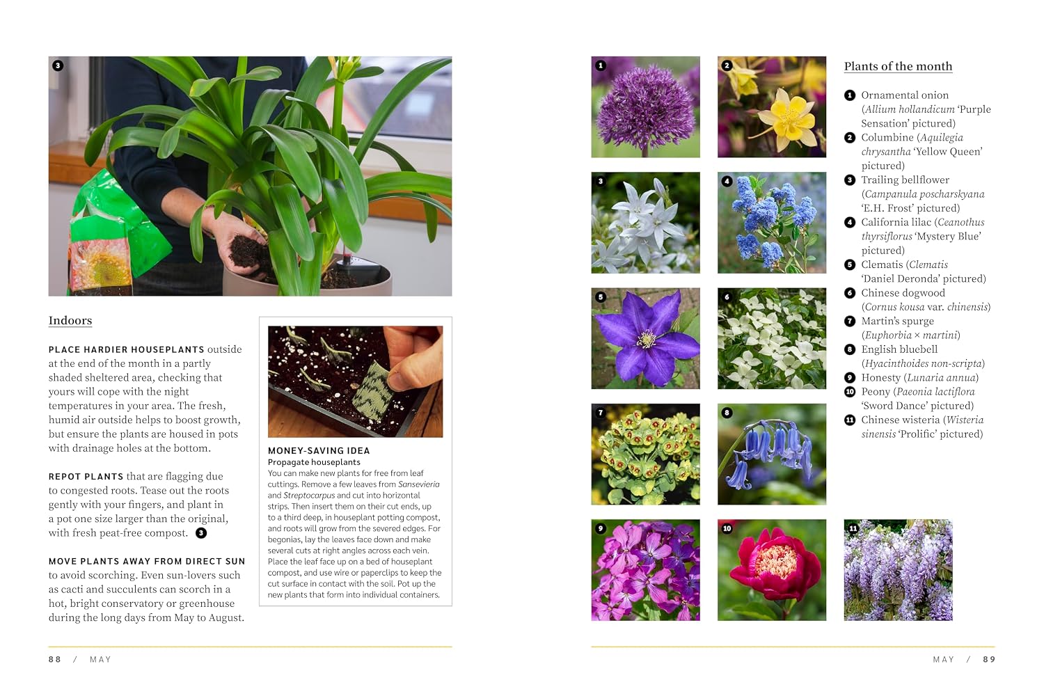 gardners - rhs garden almanac 2027 book spread  about flowers - winter's moon