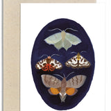 'Moth Studies' Greetings Card